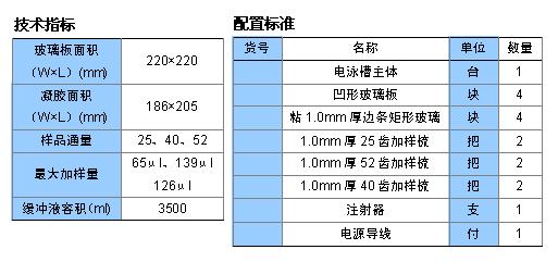 SSR擴增電泳